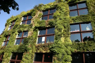 The Mur Vegetal of the Quai Branly Museum in Paris