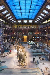 Grande Galerie de l'Évolution, Muséum National d'Histoire Naturelle, Paris