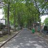 Tree-lined lane in the Montmartre Cemetery