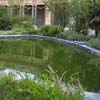 Pond in the inner garden of the Petit Palais