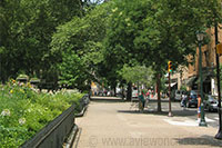 Rittenhouse Square