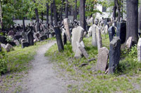 Jewish Cemetery, Prague