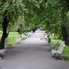 Vojan Park