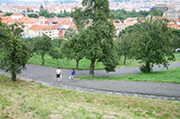 Orchards, Petrin Hill, Prague