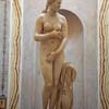 Capitoline Venus, Palazzo Nuovo, Capitoline Museums