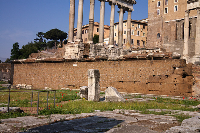 Rostra Alchetron, The Free Social Encyclopedia