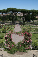Roseto di Roma Capitale, Aventijn