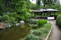 Japanse tuin, Botanische tuin, Rome