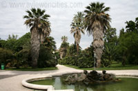 De botanische tuin van Rome
