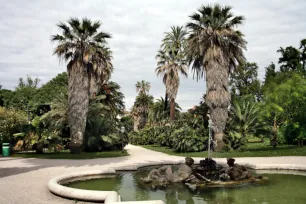 Botanical Garden, Rome