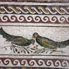 Detail of a Roman mosaic in the Palazzo Massimo