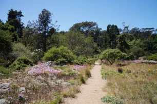 Botanical Garden, Golden Gate Park, San Francisco
