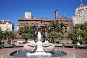 Tortoise Fountain, Huntington Park, Nob Hill