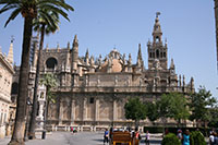 Seville Cathedral