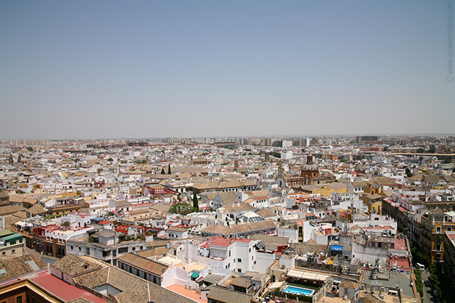 View from the Giralda Tower