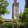 Giralda Tower seen from the Patio de los Naranjos