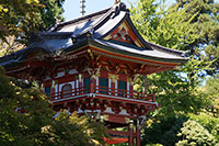 Japanese Tea Garden, Golden Gate Park
