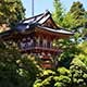 Japanese Tea Garden, San Francisco