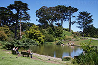 Botanical Garden, Golden Gate Park, San Francisco