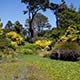Botanical Garden, San Francisco