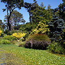 Golden Gate Park