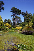 Golden Gate Park, San Francisco