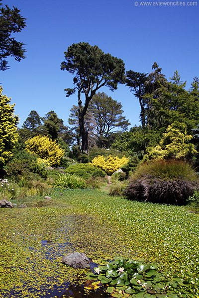 Botanischer Garten San Francisco