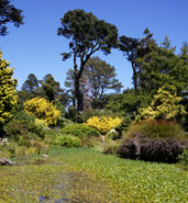 Golden Gate Park