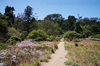 Botanical Garden, Golden Gate Park, San Francisco