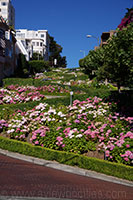 Lombard Street, die kurvenreichste Straße in San Francisco