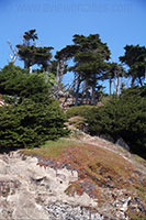 Sutro Heights Park, San Francisco
