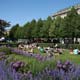 King's Garden, Stockholm