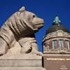 Bear statue at the Naturhistoriska Riksmuseet