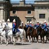 Changing of the Guards, Kungliga slottet
