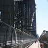 Sydney Harbour Bridge