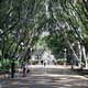 Hyde Park, Sydney