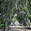Hyde Park