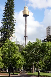 Sydney Tower seen from Hyde Park