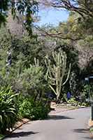 Royal Botanic Gardens