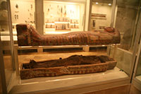 Egyptian Mummy