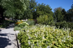 Flowerbeds in the Allan Gardens, Toronto