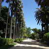 Jardines del Real