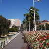 Flower Bridge