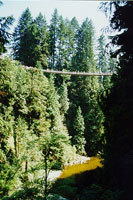 Capilano Suspension Bridge across the canyon