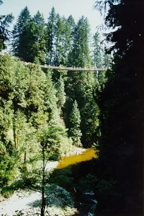 Capilano Suspension Bridge across the canyon