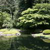 Nitobe Memorial Garden