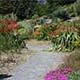 UBC Botanical Garden, Vancouver