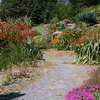 UBC Botanical Garden