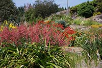 UBC Botanical Garden, Vancouver