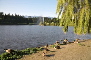 Lost Lagoon, Stanley Park, Vancouver